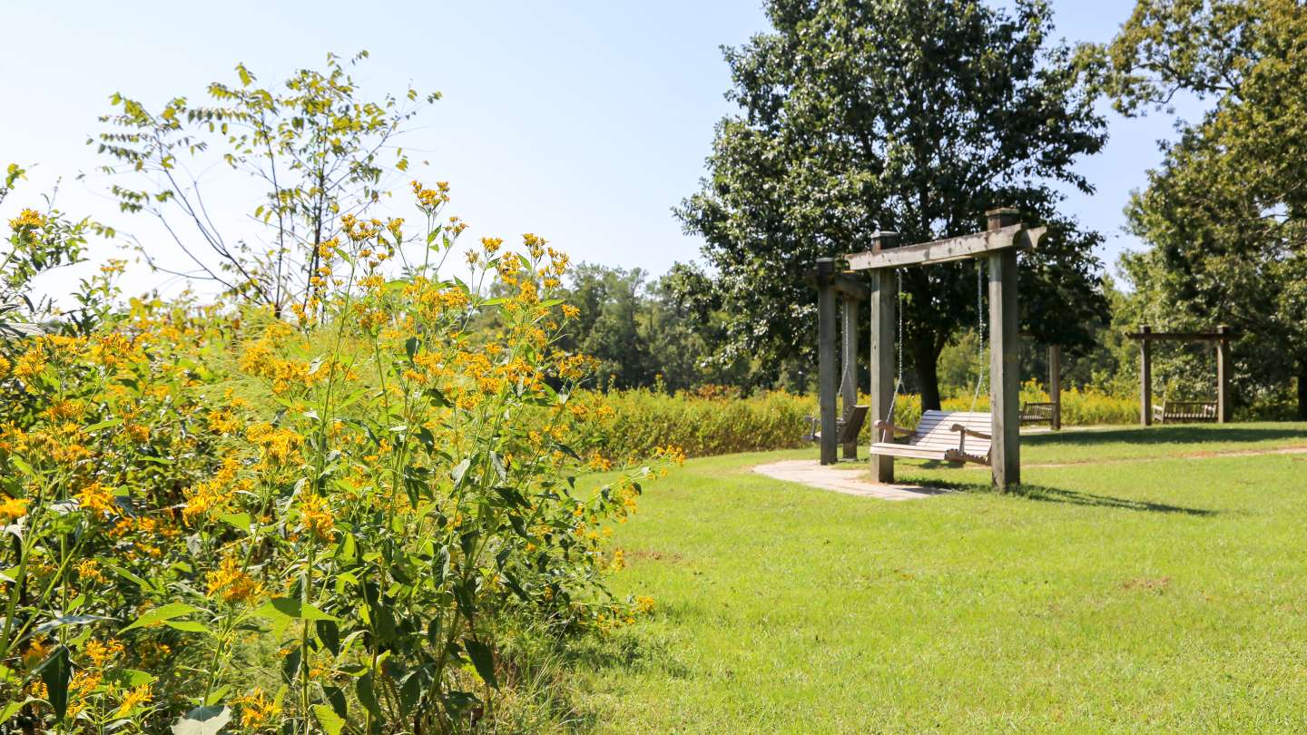 Anderson Point Park Raleighnc.gov