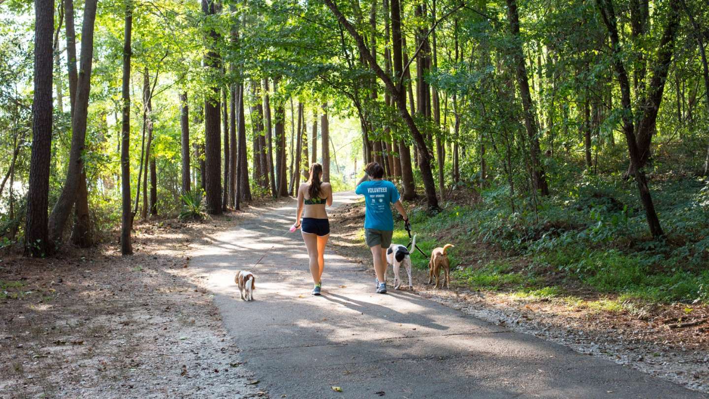 Withycombe Raleigh Footpaths Projects | Raleighnc.gov