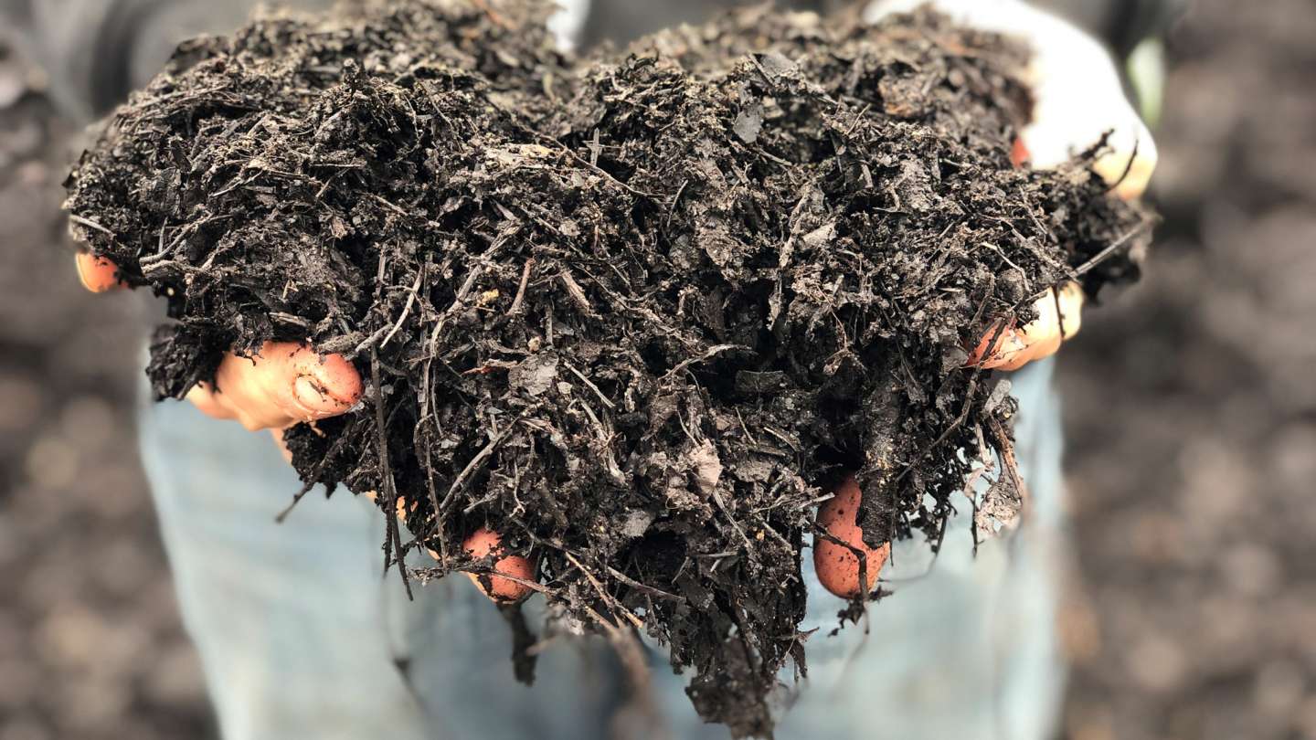 From Yard Waste to Reusable Resource Raleighnc.gov