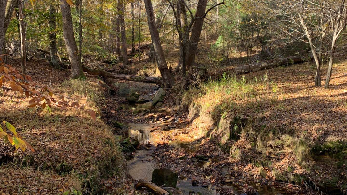 Neuse River Park Public Draft Concept Plan Raleighnc.gov