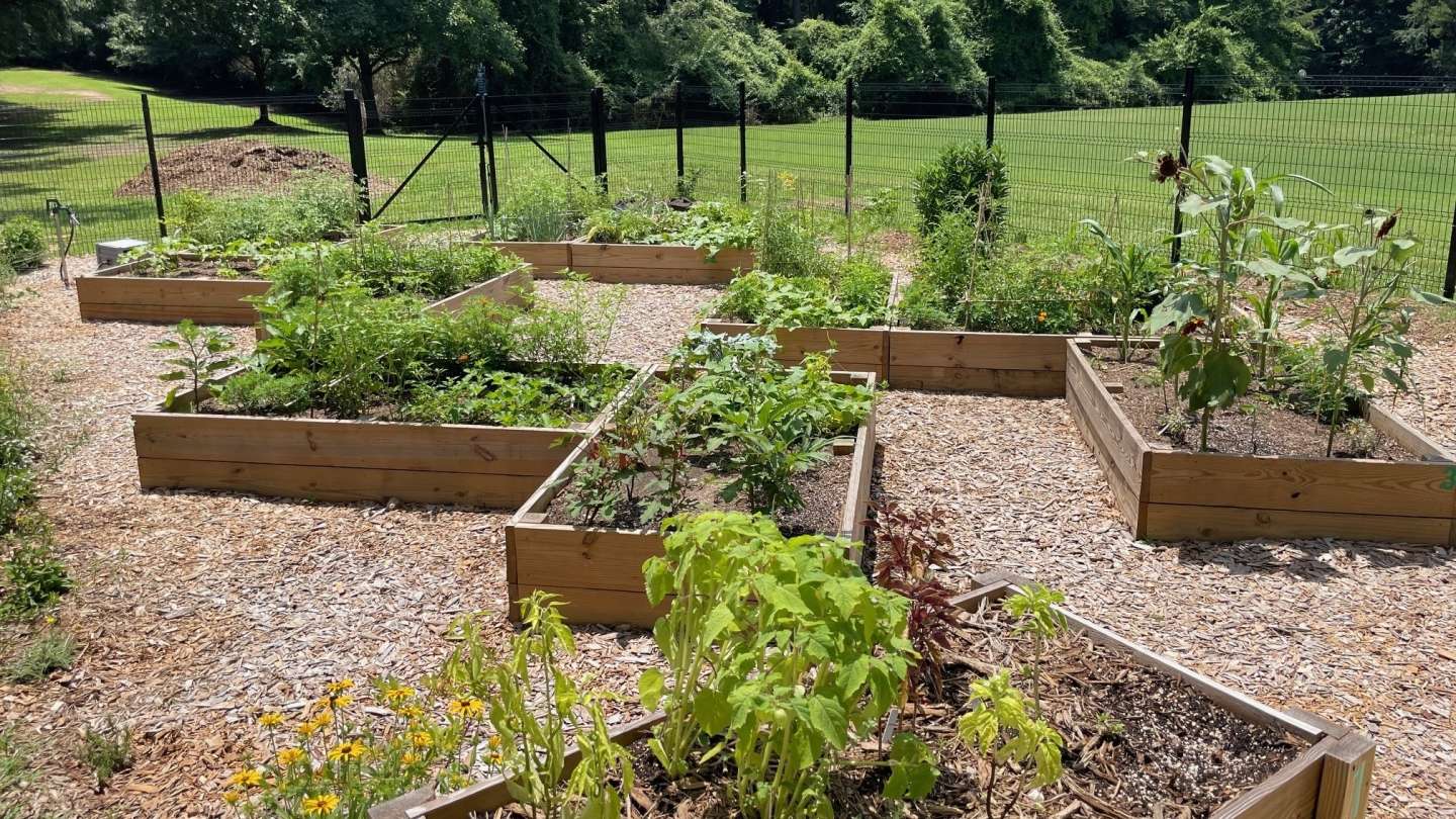 Raleigh Parks Community Garden Program | Raleighnc.gov