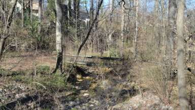 Photo of Beaver Dam trail