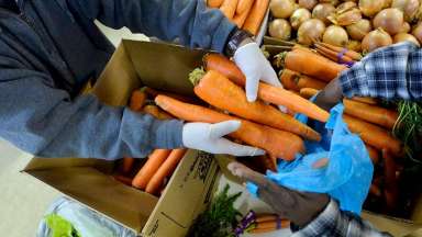 Hands of volunteer handing off carrots to a person in need.