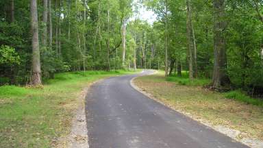 Paved trail winding through trees.