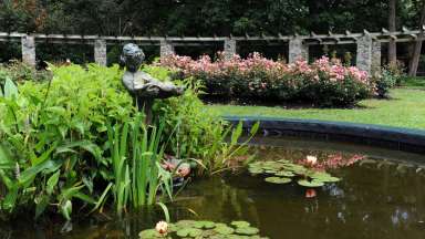 Raleigh Little Theatre pond in the garden