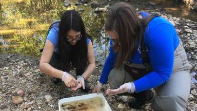 Staff collecting and studying water samples from a stream to track its health and quality.