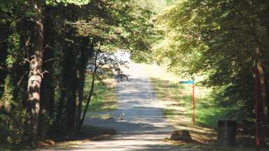 paved path between trees with a house creek greenway sign