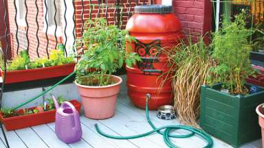 A red rain barrel on a patio with plants and watering can