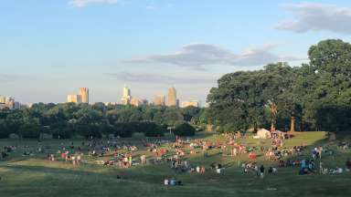 View of Flower Field at Dorothea Dix Park