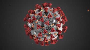 coronavirus molecules