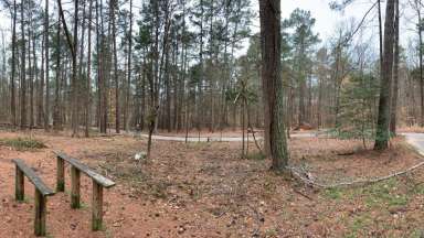 View of wooded area in Durant Nature Preserve to become playspace