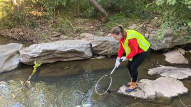 A girl wearing a yellow vest cleaning out trash with a net from Rocky Branch Creek.