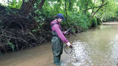A city employee in Rocky Branch Creek collecting water samples