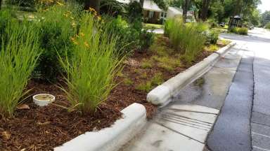 A bioretention area installed to reduce water pollution coming from Milburnie Road