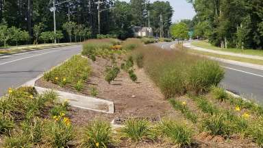 An engineered, planted area in the median on Sandy Forks Road that collects and cleans stormwater runoff when it rains