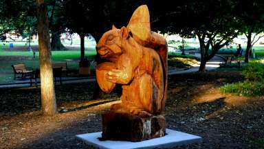 A squirrel statue in Nash Square carved from a large oak tree.