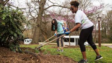 Volunteers shoveling pine straw