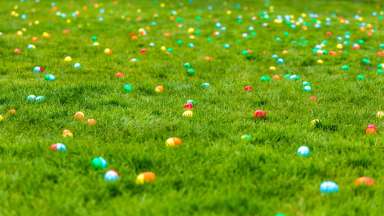 Colorful easter eggs scattered in green grass