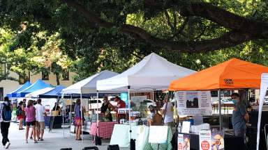 Vendor tents lined up under trees at outdoor farmers market