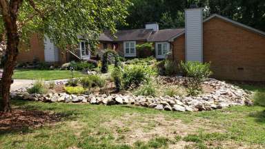 Plantas de jardim de chuva Tennessee