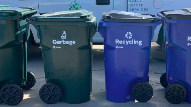Garbage and recycling carts