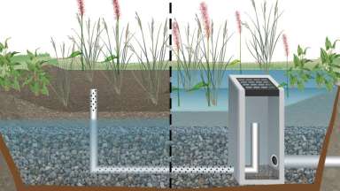 rendering of a gravel wetland with plants, water, and drains