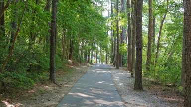 tree lined paved trail