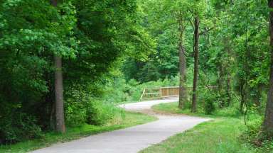 walking trail leading to a wooden bridge at Reedy Creek