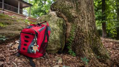 Red backpack leaned up against tree trunk
