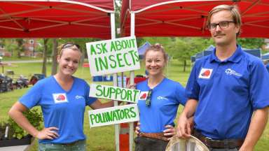 Three staff smiling with signs about insects and pollinators