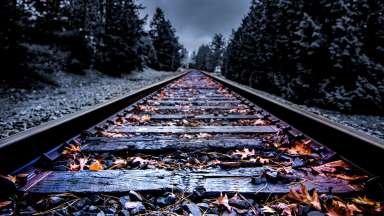 Dark and spooky railroad tracks surrounded by pines trees