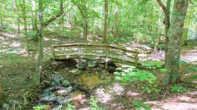 Bridge over creek in woods