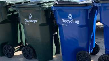 cite some ways to control water pollution in your community Raleigh's green garbage bins and blue recycle bins