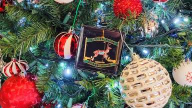 Reindeer ornament hanging on tree