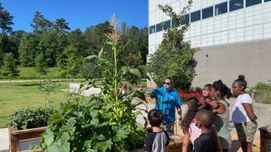 Kids at the Abbotts Creek Garden learning about gardening