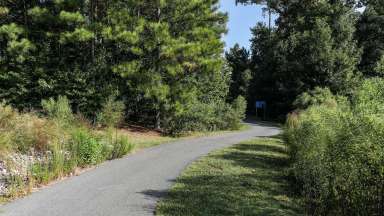 Wide view of paved greenway trail with trees on left and bushes on right.