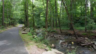 View of paved trail with stream on the right and trees all around
