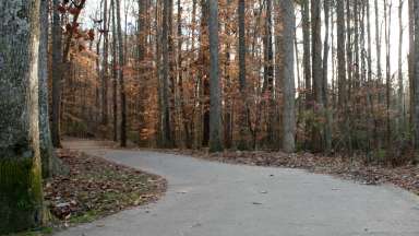 Paved trail through woods