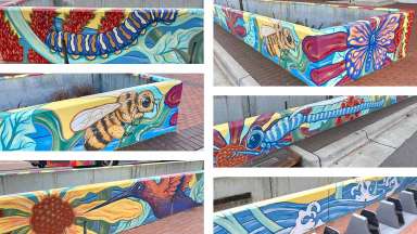 A collage of photos of murals painted by Gabriel Eng-Goetz on the walls of a rain garden on Hillsborough Street by Dan Allen Dr.