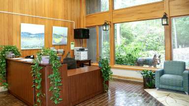 A photo of the front desk at Sertoma Arts Center, a room covered in light wood paneling, large windows, and a dark wood desk covered in green trailing plants