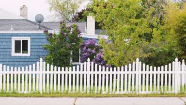 White picket fence beside a blue house and green trees
