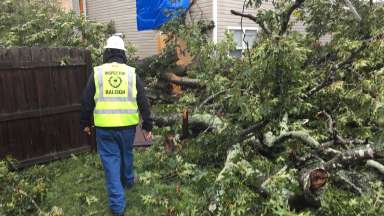 Ready Raleigh Tree Damage Emergency