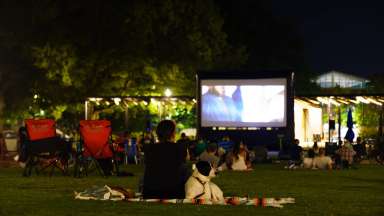 A woman and her dog sitting in a park watching an outdoor movie.
