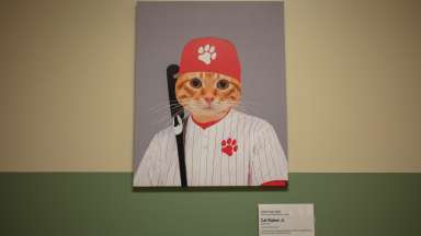 A piece of art depicting a cat dressed as a baseball player.