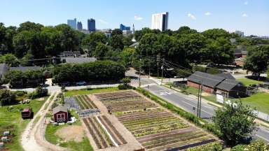 Aerial view of Raleigh City Farm