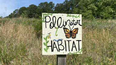 Pollinator Habitat Sign with butterfly in a field.