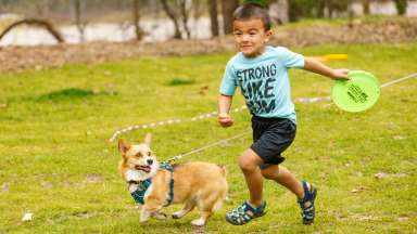 Young boy running in a grass field playing with a frisbee and dog