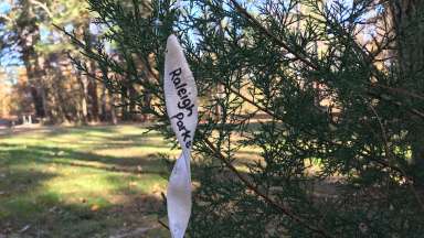 a tree branch with a note hanging on it