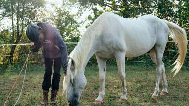 a girl petting a white horse