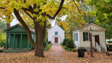 an image of a green house and two white houses in the fall